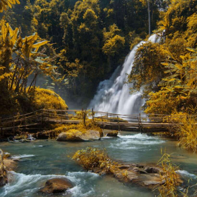 Eco-Friendly: Doi Inthanon & Pha Dok Siew Trekking Day Trip - Key Things You’ll Notice on This Doi Inthanon Trek Day Trip