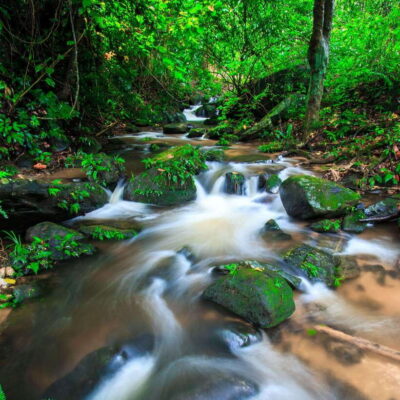 Eco-Friendly: Doi Inthanon & Pha Dok Siew Trekking Day Trip - The Chiang Mai Pickup and the Van Ride Up: Plan for Time and Temperature