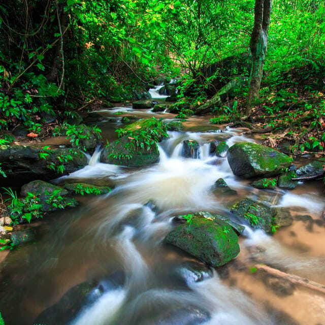 Eco-Friendly: Doi Inthanon & Pha Dok Siew Trekking Day Trip - Hmong Market Stop: What to Do (and How to Shop Without Being That Tourist)