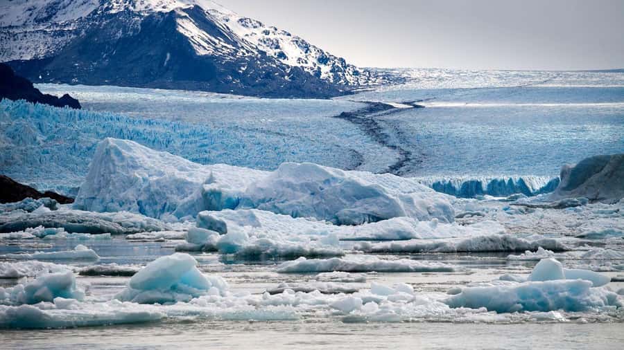 El Calafate: Glacier Cruise & Trekking at Estancia Cristina - Price and value: $342 per person plus the National Park entrance