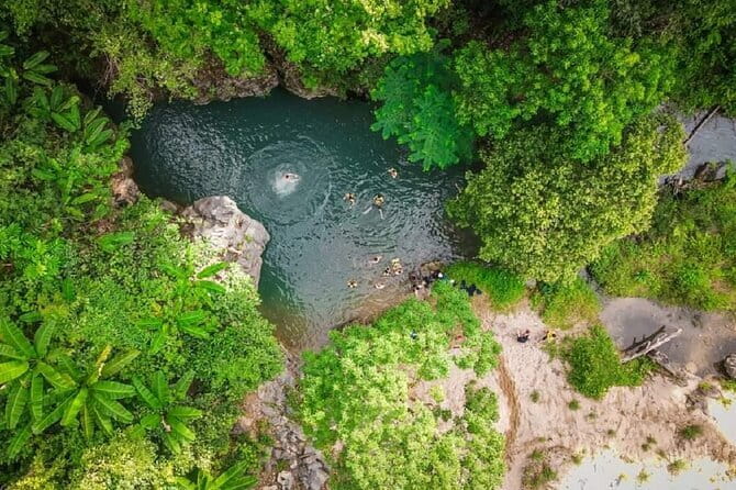 Elephant cave and Mada valley Jungle trek - 1Day - The Standout Parts: Why This 1-Day Cave Trek Works