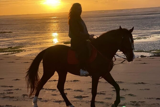 Essaouira Beach Horse Rides &Treks for All Levels - What I’d use this for in your trip