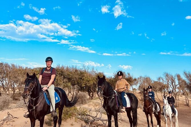 Essaouira Beach Horse Rides &Treks for All Levels - Horse matching in Diabat: why Heart and Soul Rides feels different