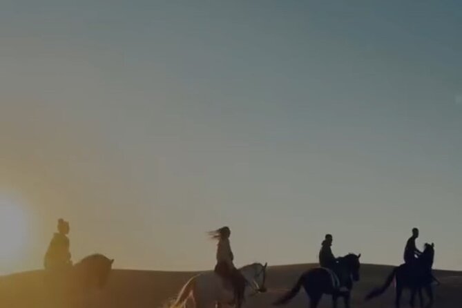 Essaouira Beach Horse Rides &Treks for All Levels - Beginners, intermediates, and riders who want speed (without stress)