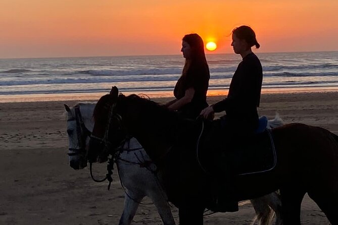 Essaouira Beach Horse Rides &Treks for All Levels - Horse welfare and safety: what matters (and what to look for)