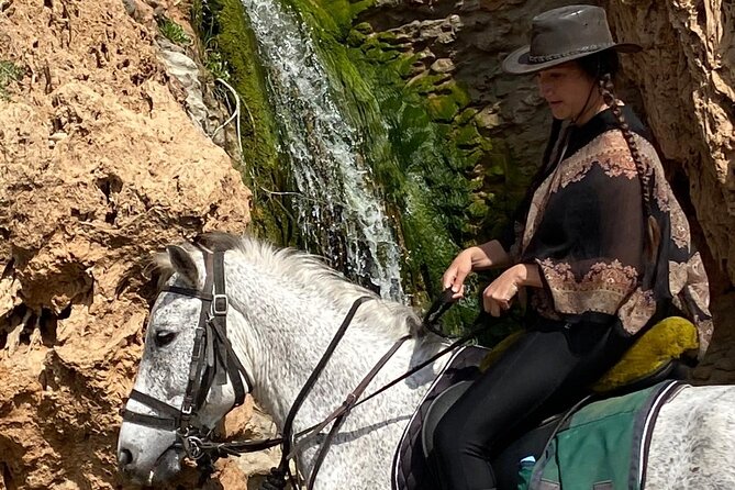Essaouira Beach Horse Rides &Treks for All Levels - Treks beyond one hour: when to choose a 1- or 2-day adventure
