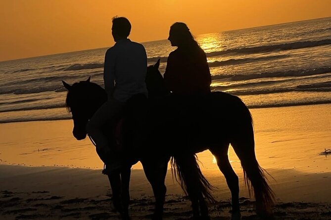 Essaouira Beach Horse Rides &Treks for All Levels - Getting there at F6HM+FQF (and what to expect when you arrive)