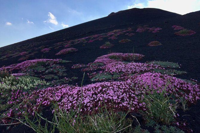 Etna Grantour - 4x4 & trekking - Private tour with lunch included - Stop 3: Grotta Intraleo—lava tubes explained underground