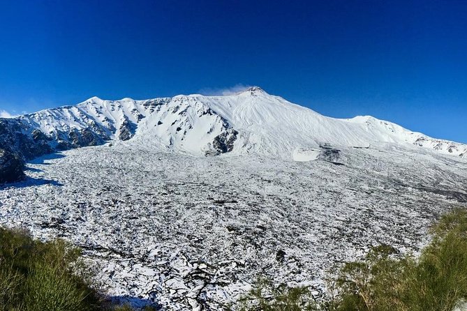 Etna Grantour - 4x4 & trekking - Private tour with lunch included - The farm stop at MontataGrande: lunch plus tastings on the Etna slopes