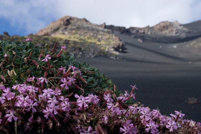Etna's Hidden Gems - Trek Valle Bove & Lava Tunnel with Gear - Timing, Weather, and Route Changes You Can Expect
