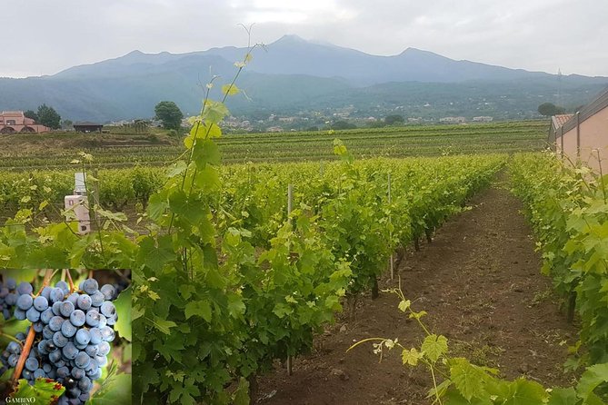 Etna trekking and wine tasting - Mount Etna trekking with real safety gear (and why it matters)