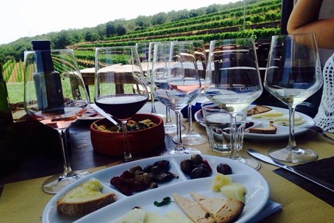 Etna trekking and wine tasting - Guides make the difference: English + patient pacing