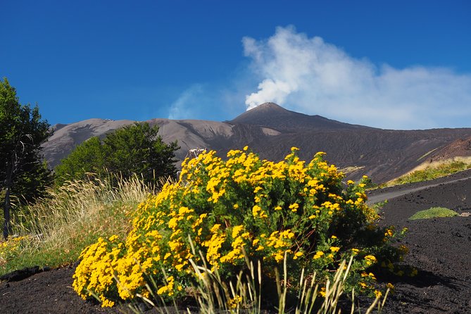 ETNA - Trekking to the Craters Eruption of 2002 - Price and value: what $36.14 gets you