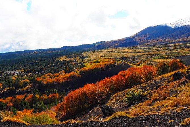 ETNA - Trekking to the Craters Eruption of 2002 - Who should book this Etna hike (and who should be cautious)