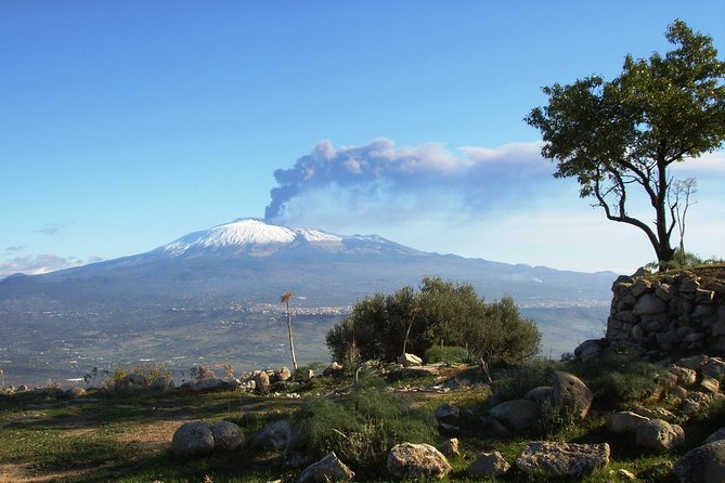 Etna: Trekking to the summit craters at 3,340 meters - Valle del Bove: The 30-Minute Stop That Makes Sense of the Whole Volcano