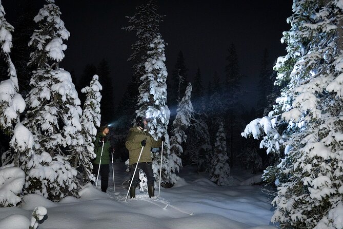 Evening Ski Trek to the Wilderness - Extra Small group - Key highlights at a glance