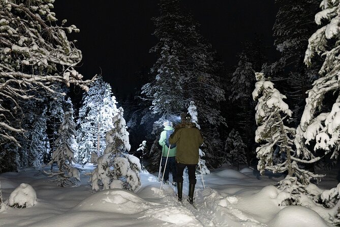Evening Ski Trek to the Wilderness - Extra Small group - Why night skiing near Rovaniemi is so different