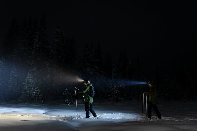 Evening Ski Trek to the Wilderness - Extra Small group - Aurora chances: what to do when the sky cooperates (and when it doesn’t)
