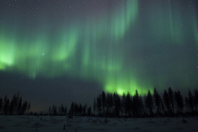 Evening Ski Trek to the Wilderness - Extra Small group - Perunkajärvi: the remote snowy forest where the night does the talking