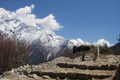 Everest Base Camp - Cho La Pass - Gokyo Trek - Dingboche, Lobuche, Gorak Shep, Then Everest Base Camp