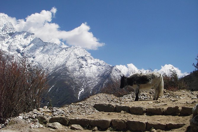 Everest Base Camp - Cho La Pass - Gokyo Trek - Dingboche, Lobuche, Gorak Shep, Then Everest Base Camp