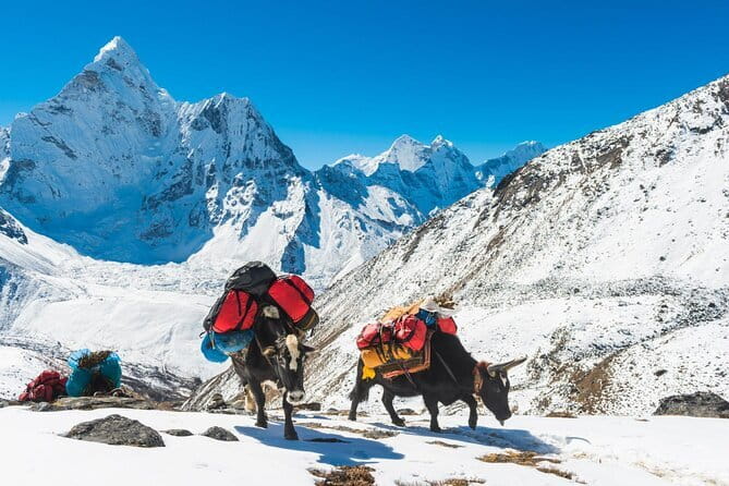 Everest Base Camp Trek - 14 Days - Lobuche and glacier country: memorials, moraine walking, and a different kind of quiet
