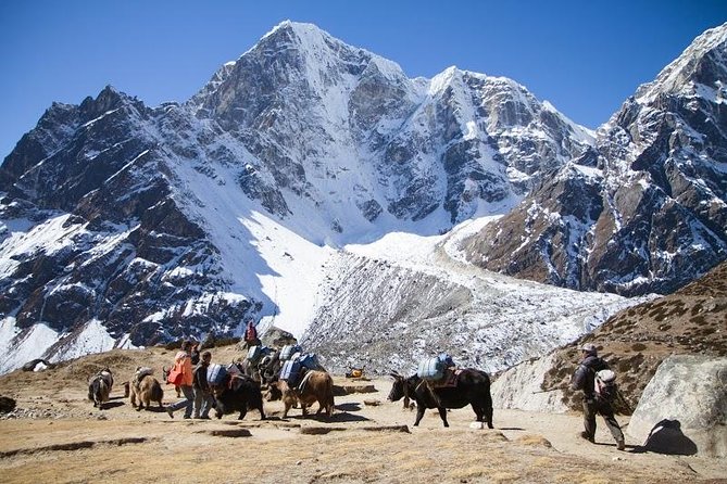 Everest Base Camp Trek with Helicopter Return to Lukla - 10 Days - Key Highlights That Matter in Real Life