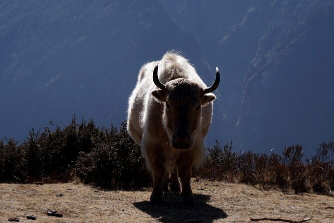 Everest Base Camp Trekking - 2025/2026 - Gorakshep and the Everest Base Camp area: cold mornings matter