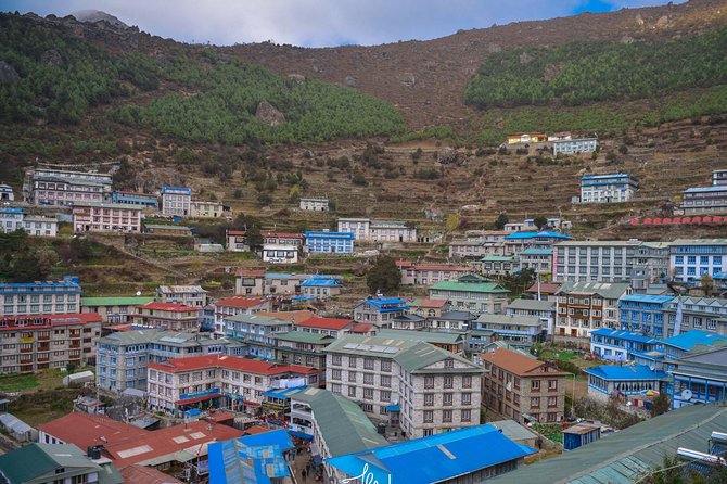 Everest Base Camp Trekking - Early trekking day through pine forests and Sagarmatha National Park