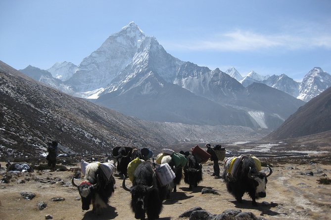 Everest Three (High) Passes Trekking - Sherpa culture in the Khumbu: why it changes the feel of Everest