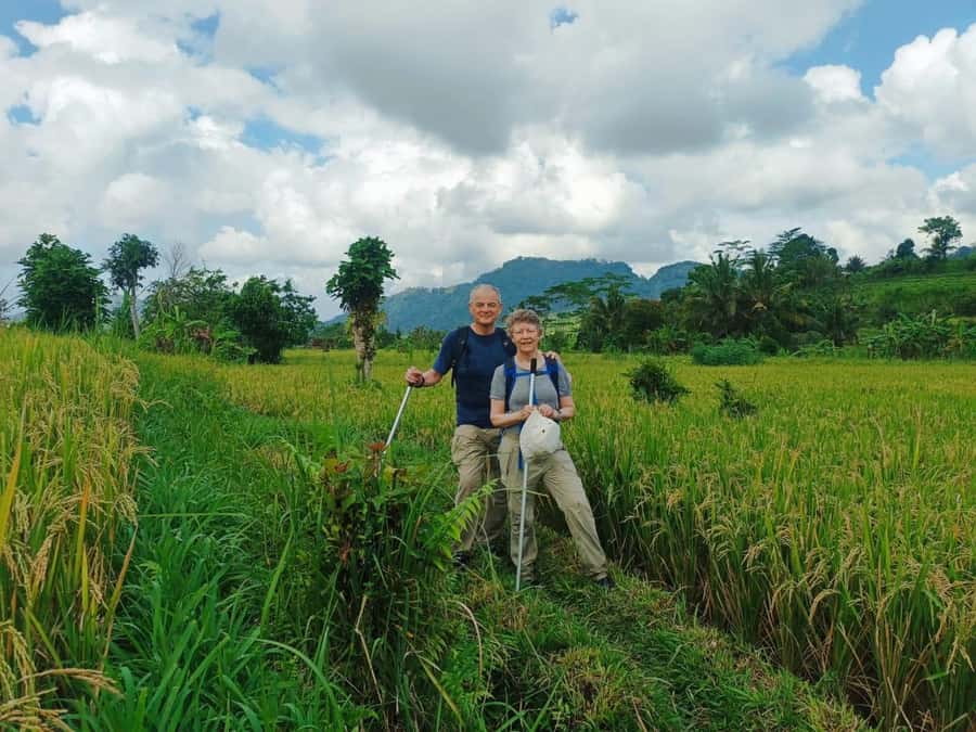 Explore rice terraces munduk & waterfall trekking experience - Munduk hiking for about 2 hours: pace, safety, and what to wear