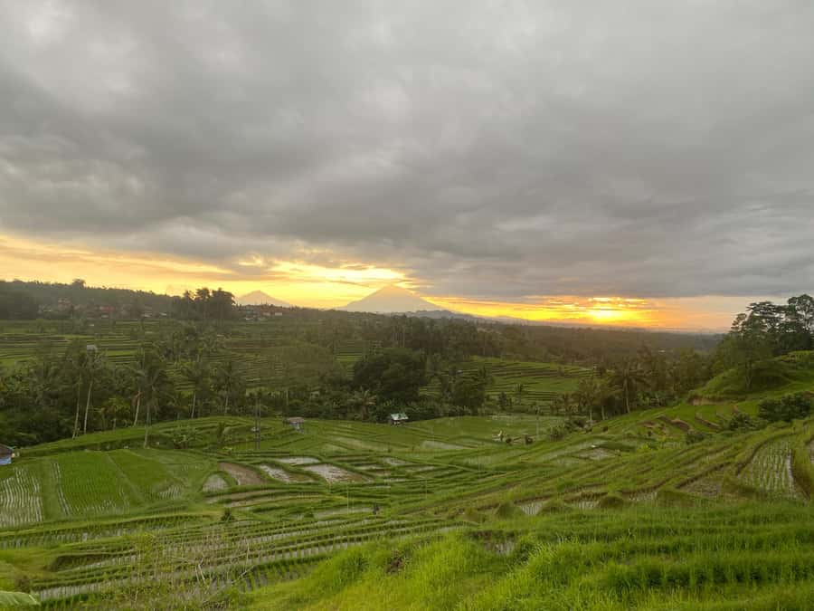 Explore rice terraces munduk & waterfall trekking experience - The biggest rice terraces in Munduk: what you should look for