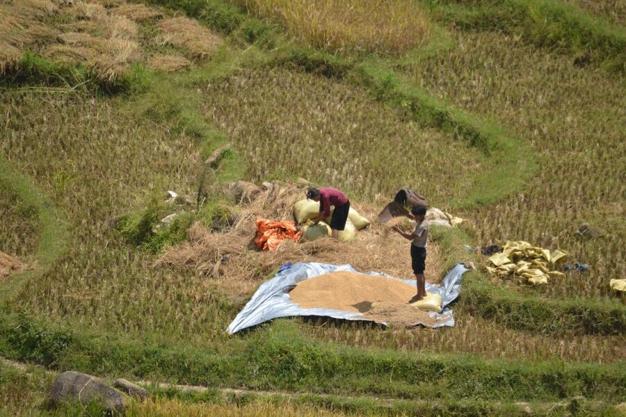 Explore Sa Pa with Overnight Train & Sleeper Bus & Trekking - Ma Tra – Ta Phin villages: Black H’Mong and Red Zdao, morning style