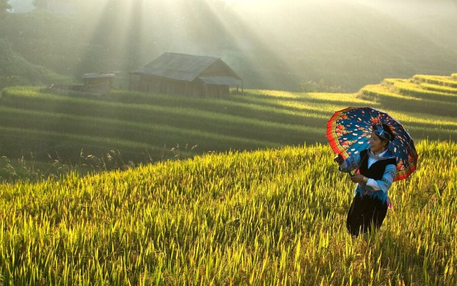 Explore Sa Pa with Overnight Train & Sleeper Bus & Trekking - Sa Pa at 1,650 meters: crisp air, slower pace, and real village life
