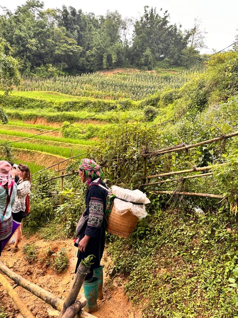 EXPLORE SAPA: 2D1N TREKKING & HMONG CULTURE WITH DINH - Day 2: Bamboo Forests, Terraced Fields, and Giang Ta Chai