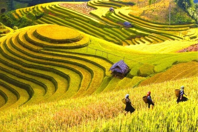 Fansipan Mountain, Cat Cat Village, Rice Terrace 2 Day Sapa Tour - Guide quality: why Lala, Hoa, and De Ly mattered