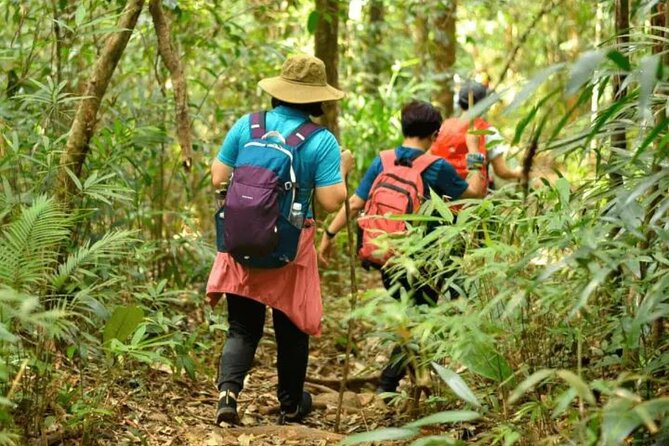 Fansipan Trek One Day Tour – Roof of Indochina - Fitness reality: steep routes, early mornings, and what the guides do best
