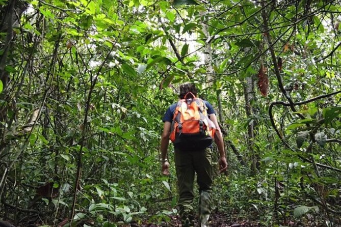 Fansipan Trek One Day Tour – Roof of Indochina - Summit at noon: the view, the orchids-in-your-head, and the certificate