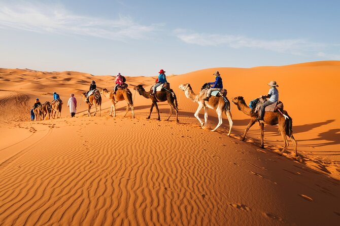 Fes to Sahara Desert 2-Day Tour: Camel Trek, Berber Camp & Sunset - Azrou cedar forest: monkeys, shade, and quick photos