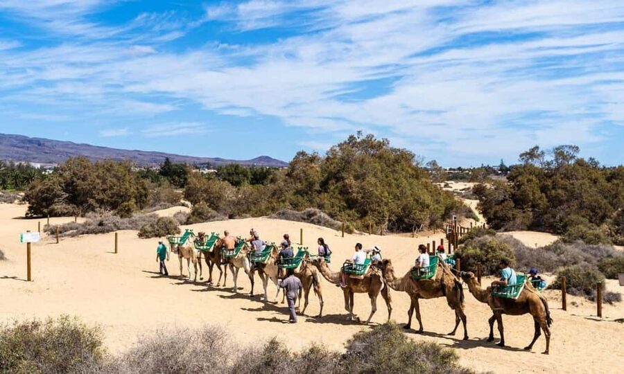 From Agadir: Camel Ride and Flamingo Trek - Key things to know before you go