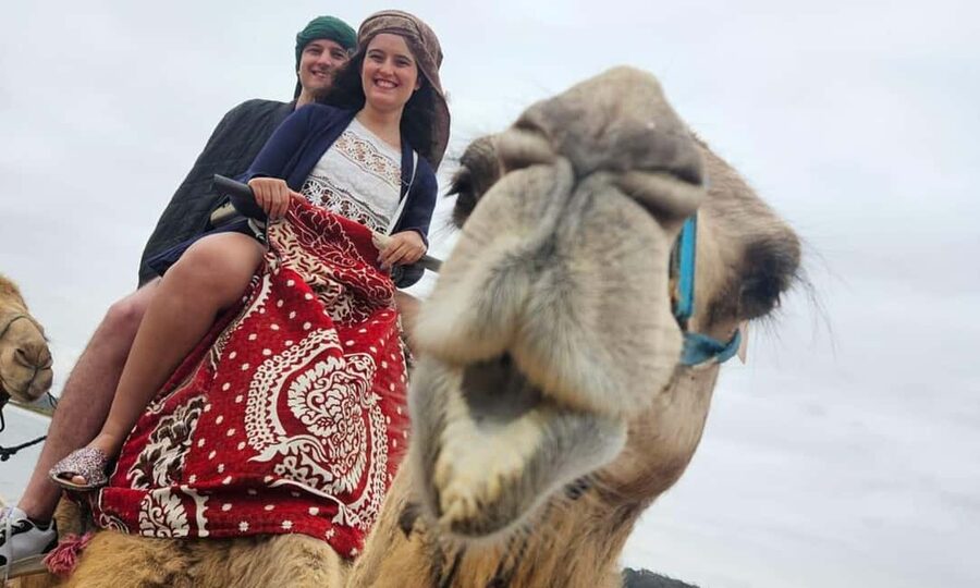 From Agadir: Camel Ride and Flamingo Trek - From your Agadir hotel to the Souss River start line