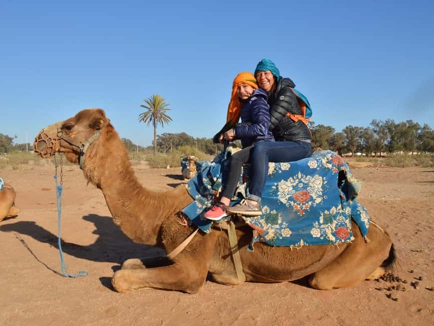 From Agadir: Camel Ride and Flamingo Trek - Flamingoes by the river: how to set expectations