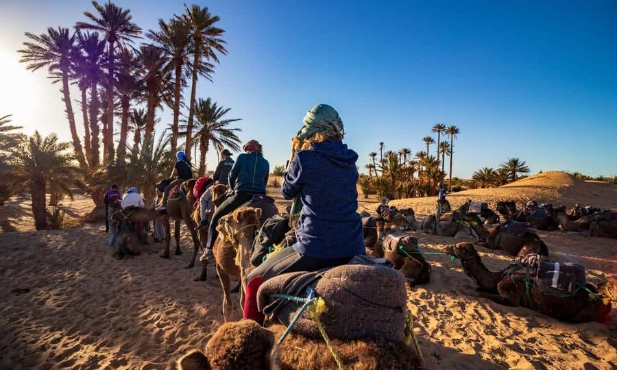 From Agadir: Camel Ride and Flamingo Trek - Price and value: what $19 buys you in real terms