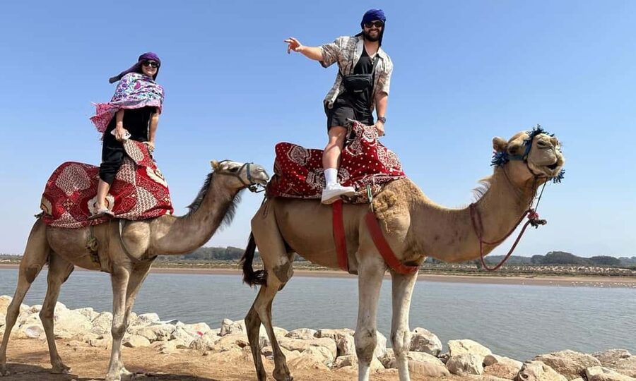 From Agadir: Camel Ride and Flamingo Trek - Who should book this camel ride (and who should skip it)