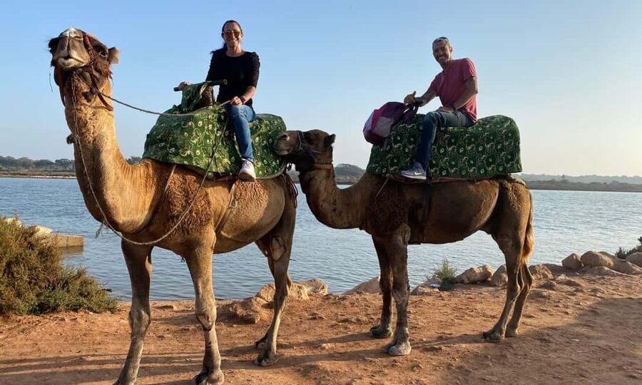 From Agadir: Camel Ride and Flamingo Trek - Heat and comfort tips for Agadir in summer