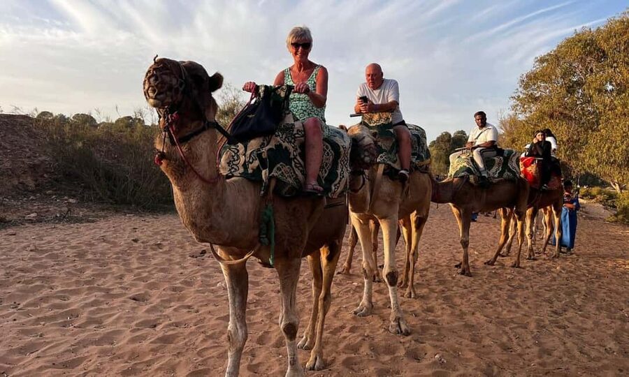 From Agadir: Camel Ride and Flamingo Trek - What happens once you’re in the saddle