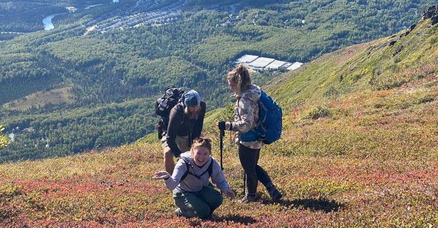 From Anchorage: Chugach State Park Guided Alpine Trek - Key Things to Know Before You Go