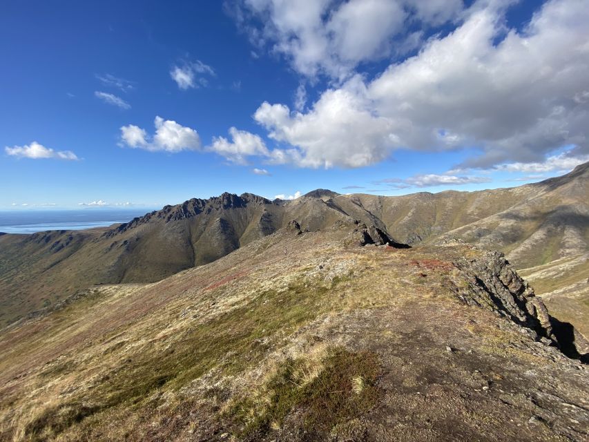 From Anchorage: Chugach State Park Guided Alpine Trek - Naturalist Lessons: Alpine Forest and Tundra Plants You Can Touch