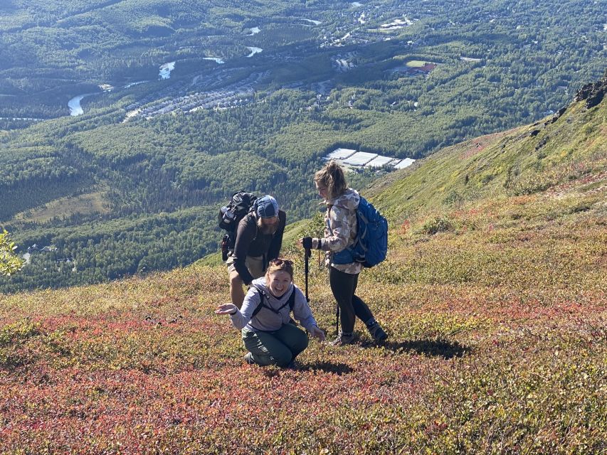 From Anchorage: Chugach State Park Guided Alpine Trek - Ridgelines, U-Shaped Valleys, and the Anchorage-to-Cook-Inlet Views