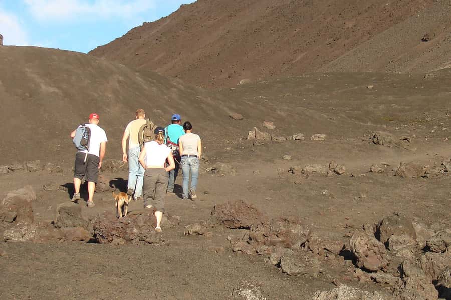 From Antigua: Pacaya Volcano Trek - Pacaya From Antigua: What Makes This Hike Worth It